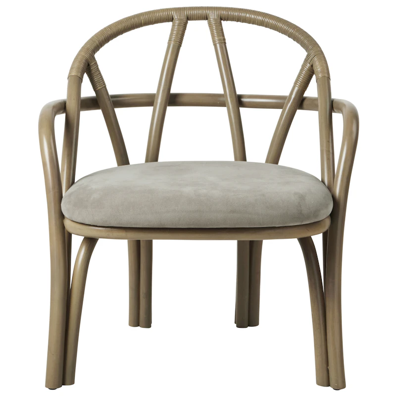 Bistra Loungestol, Oliven / Fustagno 003