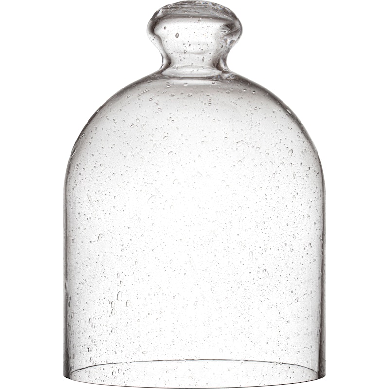 Glasskuppel 160x220 mm, Klar