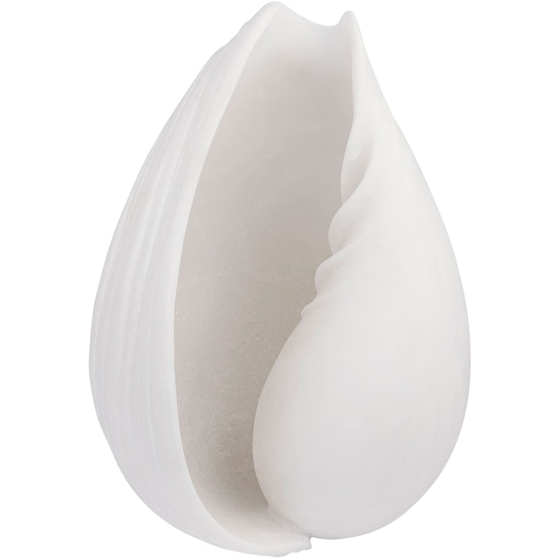 CONCH shell Dekorasjon Off-white, Liten