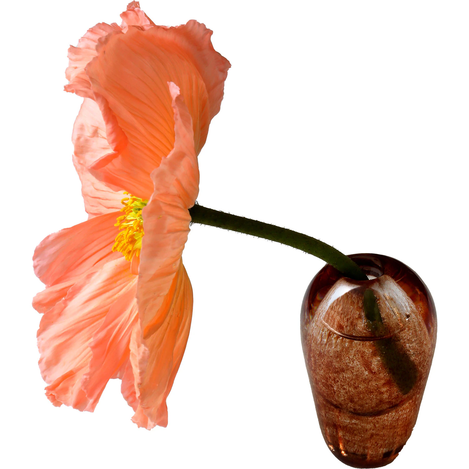 Liv Vase Munnbl&aring;st Glass, Brun