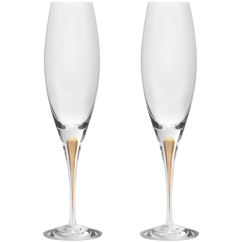 Intermezzo Champagneglass 2-pk 26 cl, Gull