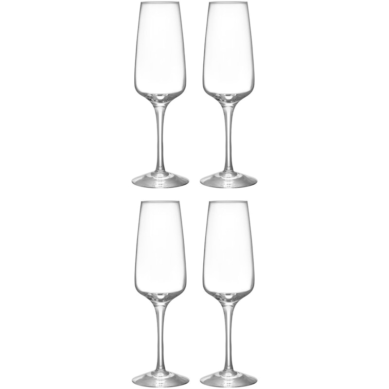 Pulse Champagneglass 4-pk, 28 cl