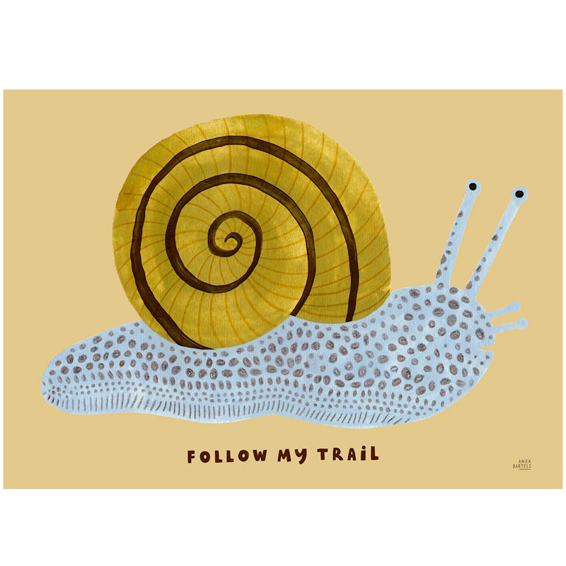 Follow My Trail Plakat 50x70 cm