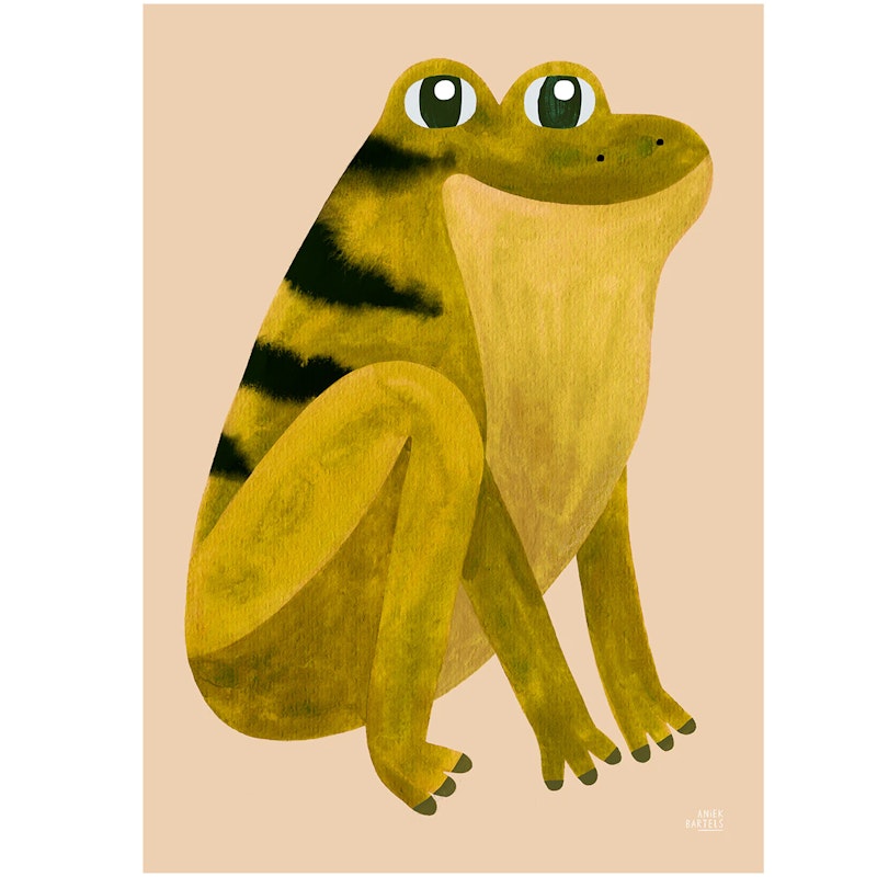 Frog Plakat 30x40 cm