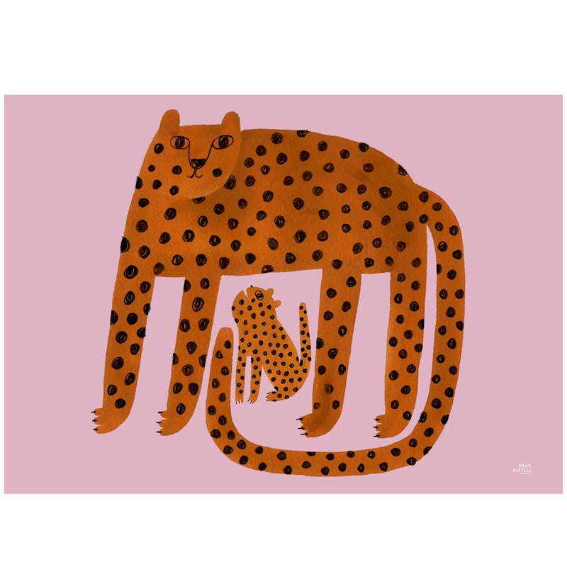 Leopards Plakat 50x70 cm