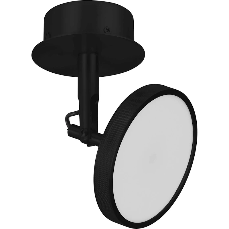 Asteria Spot Spotlight, Sort