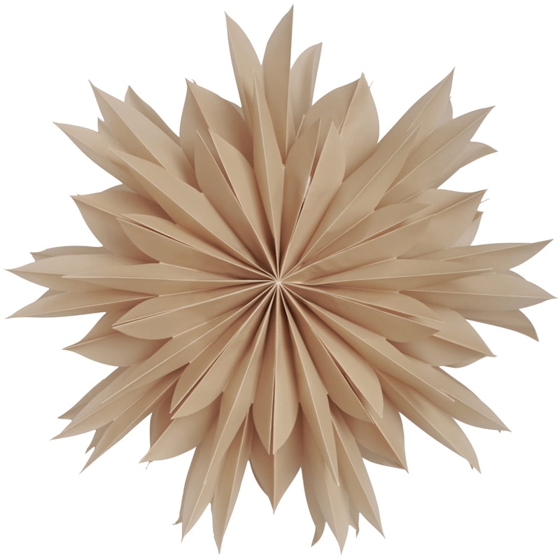 Athena 50 Christmas Star, Beige